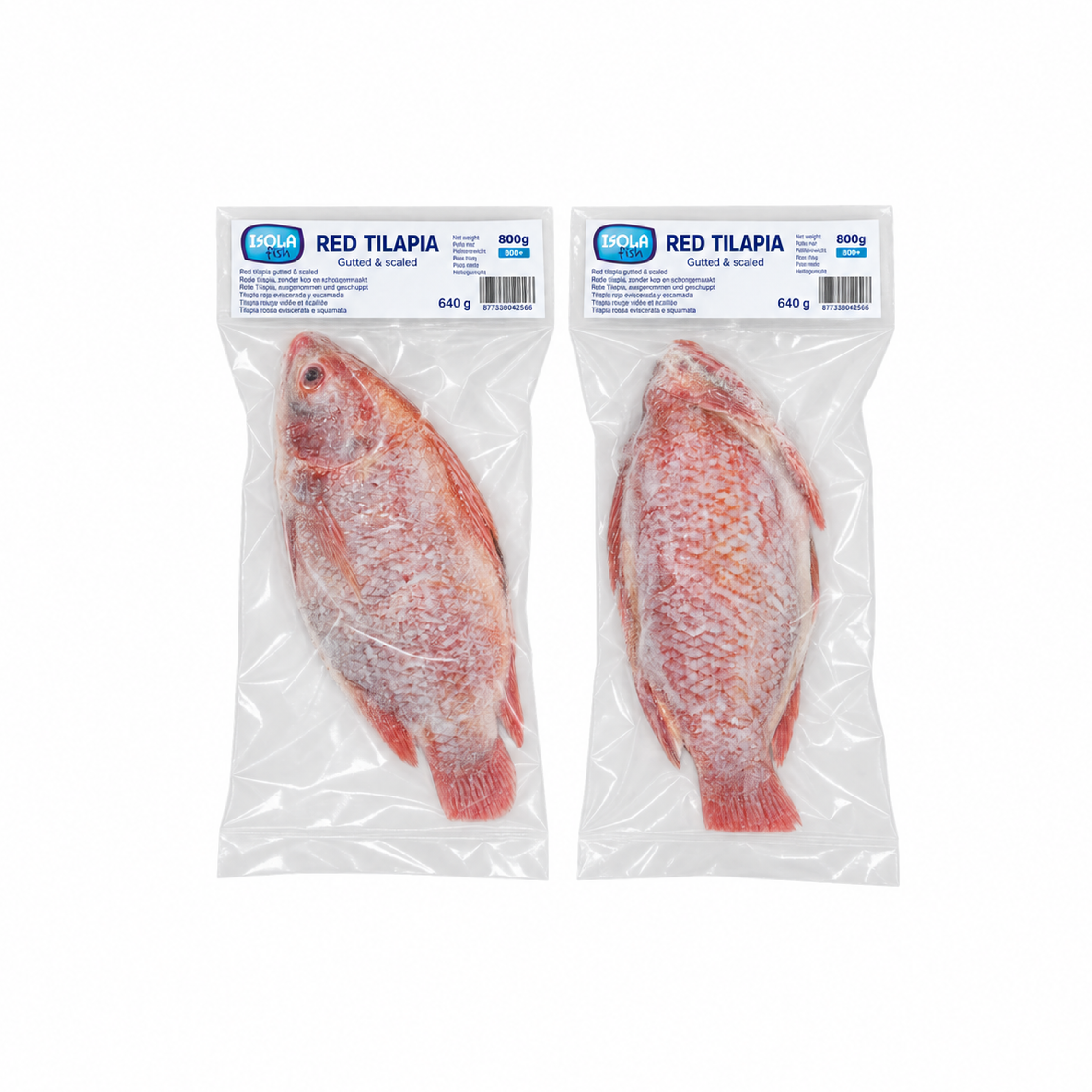 Whole Red Tilapia - 800 g+